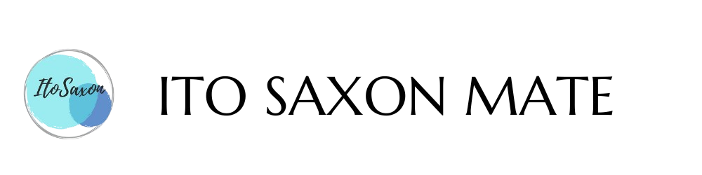 ITO SAXON MATE サービス